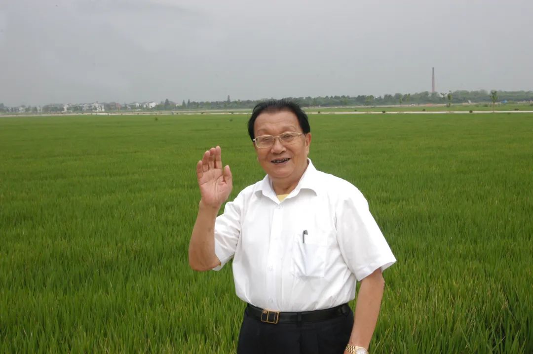 JDB电子(中国区)试玩平台-JDB电子游戏官网